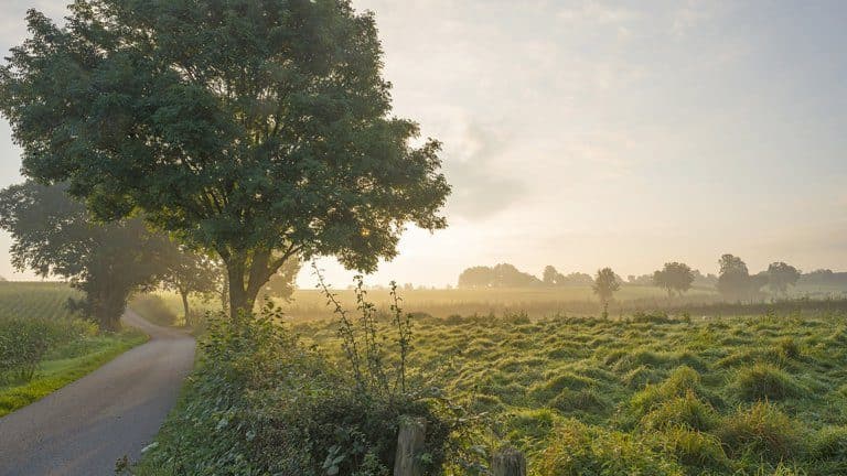 buitenplaats-de-mechelerhof-limburg