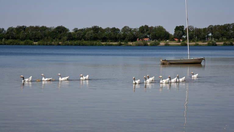 resort-boschmolenplas