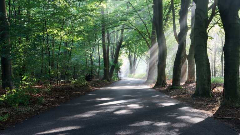 topparken-bospark-ede