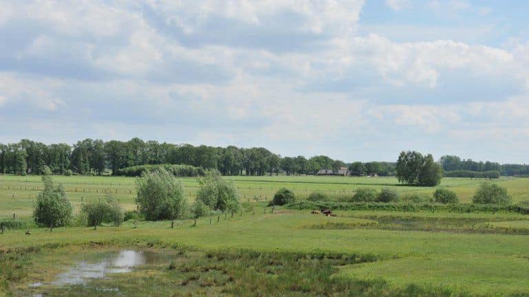 erfgoed-bossem-lodgetenten