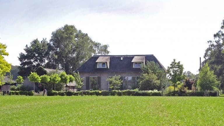 In de Tuin van Dorth