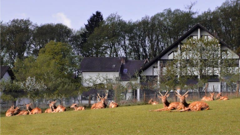 All in Hotel Heiderhof
