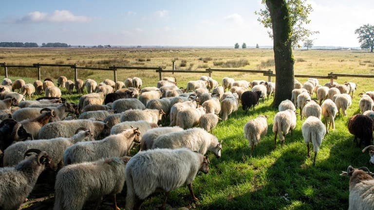 Grenzeloos Slapen-Eten-Beleven