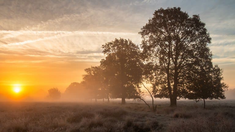 Fietsvakantie rondje Drenthe