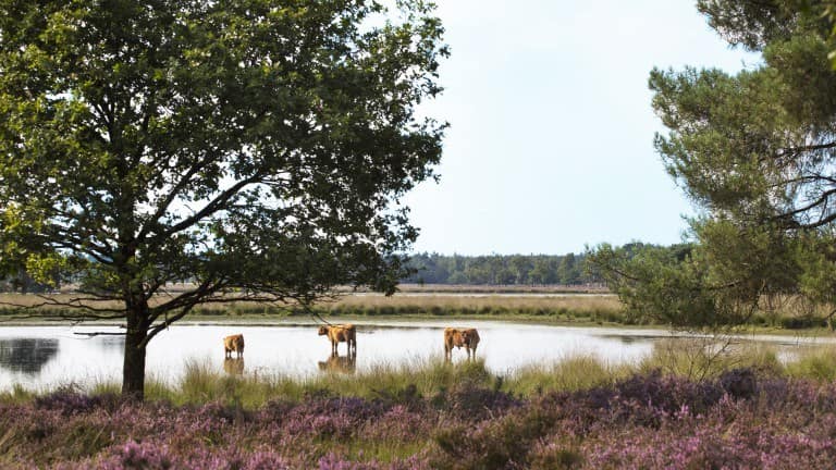 Hotel Hulsman Venray