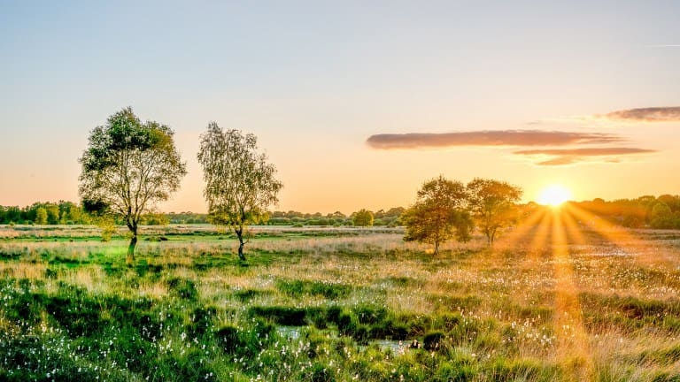 Fietsvakantie Zuidelijk Twente-Noordelijke Achterhoek
