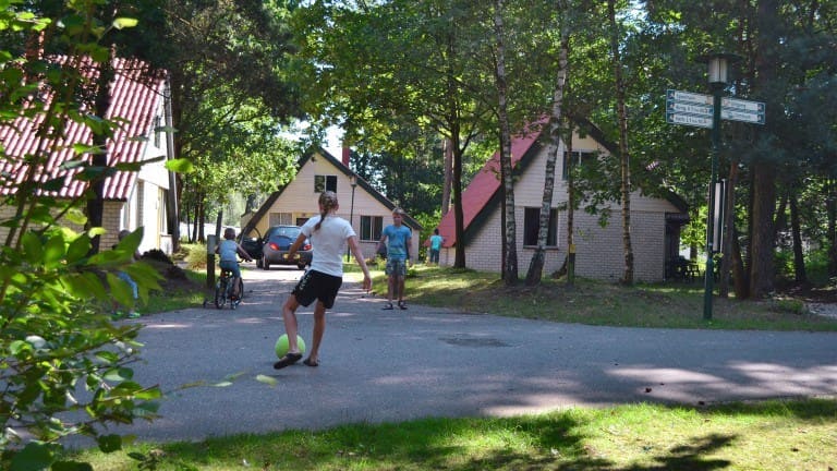 oostappen-vakantiepark-boschbeek