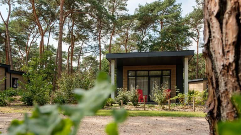 Vakantiepark de Kleine Belties