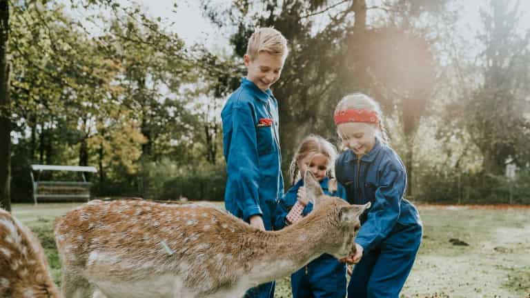 vakantiepark-dierenbos