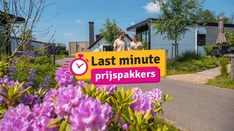 vakantiepark-de-wiedense-meren