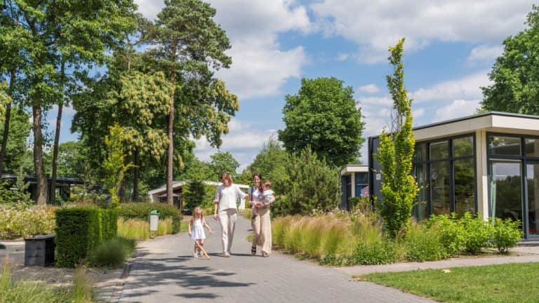 vakantiepark-ackersate