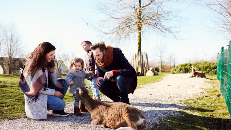 Center Parcs Parc Sandur