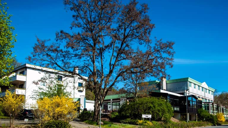Parkhotel Hitzacker