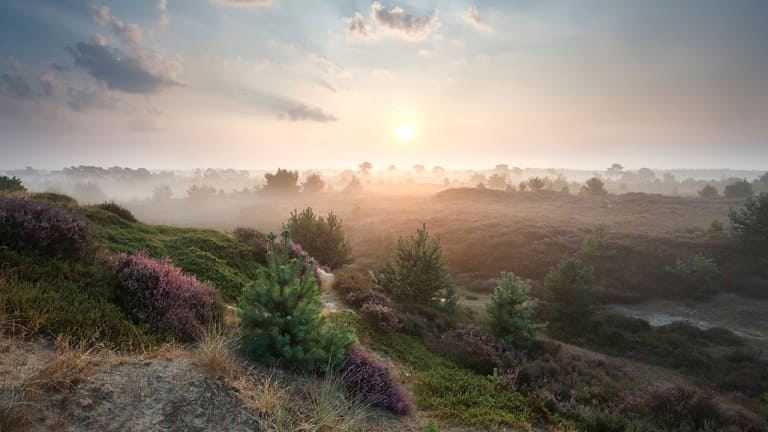 De Oringer Marke & Stee Hotels by Flow