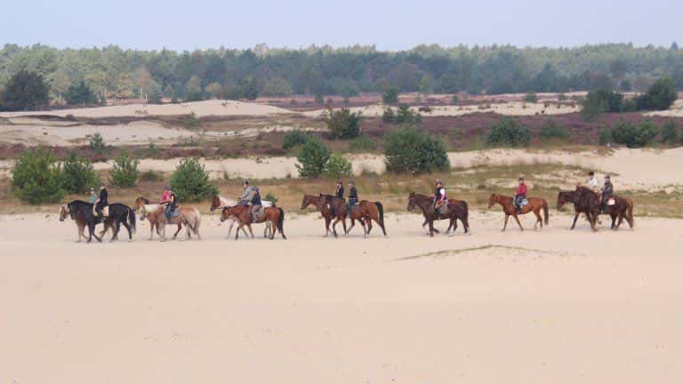 Natuurpoort van Loon