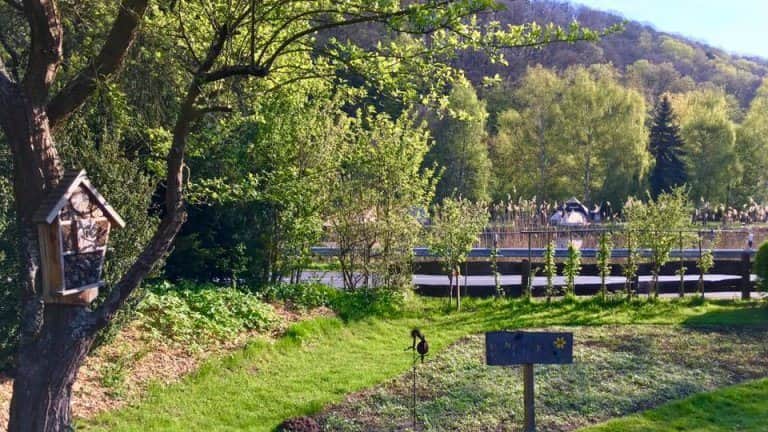 Flux - Biohotel im Werratal