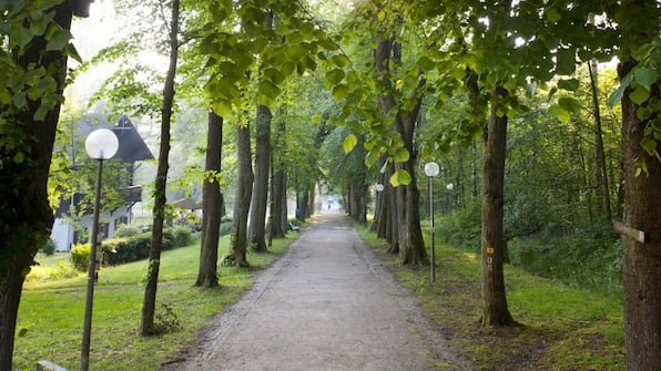 Umwelt - Soibelmanns Hotel Bad Alexandersbad