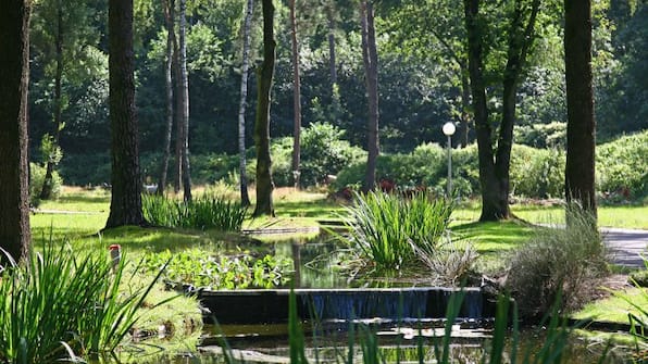 Park - Buitencentrum Hessenheem