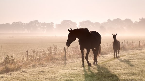 Omgeving - Hotel Van der Maas Ootmarsum