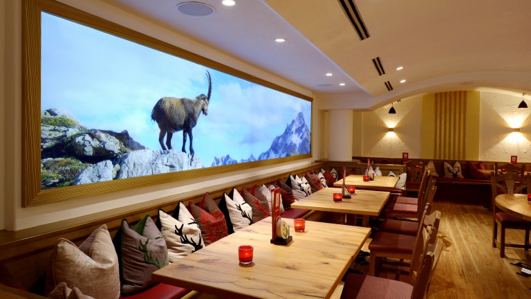 Bar - Luitpoldpark Hotel