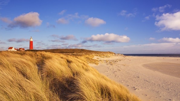 Strand - Studios De Vlijt Texel