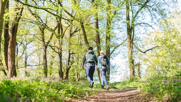 Wandelen - Procamp4all Camping de Holterberg