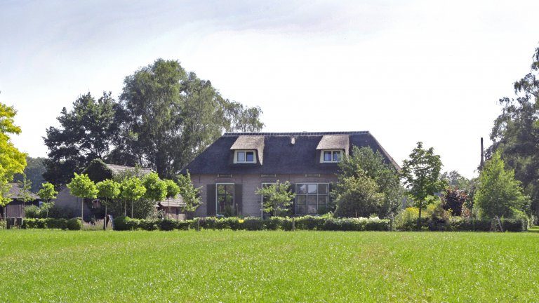 In de tuin van Dorth