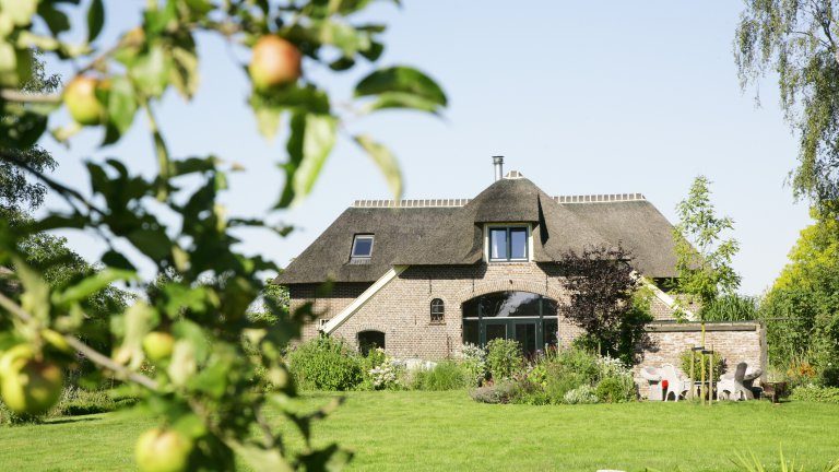 In de tuin van Dorth