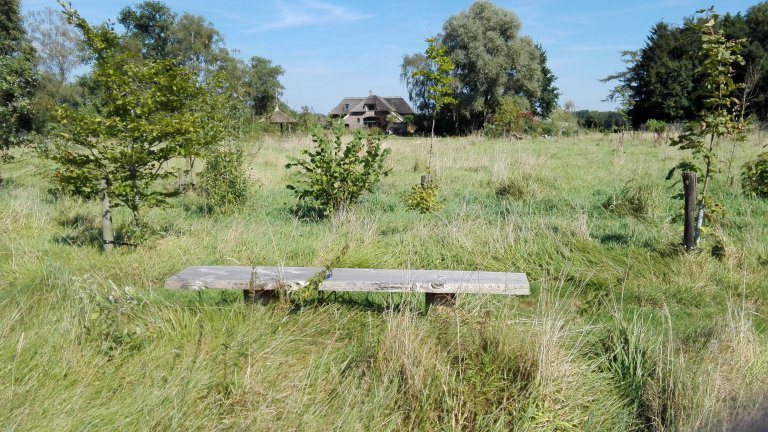 Tuin - In de tuin van Dorth