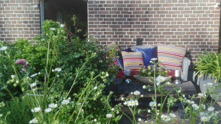 Tuin - In de tuin van Dorth