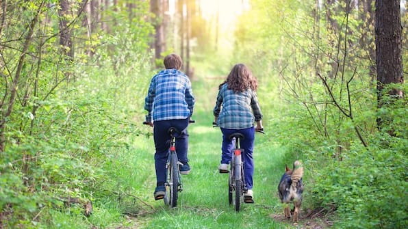 Fietsen - In de Tuin van Dorth