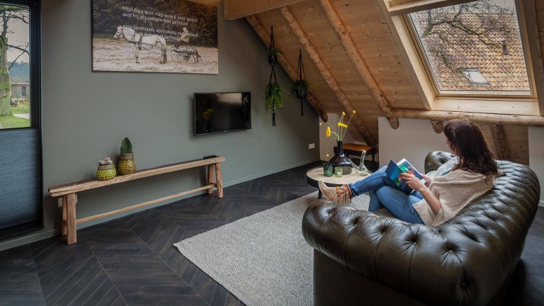 Wilmink Zimmer - Bed and Breakfast Hoeve Springendal