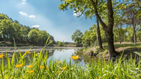 Omgeving - De Bergen