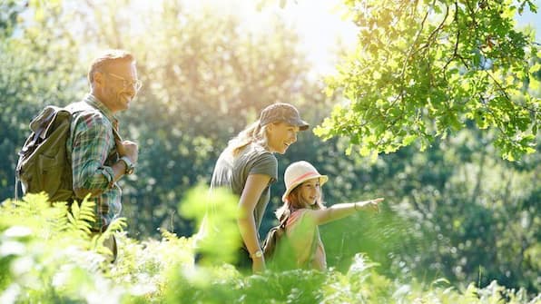 Omgeving - Vodatent Recreatiepark de Wrange Omgeving - Vodatent Recreatiepark de Wrange