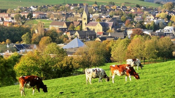 Gulpenerberg