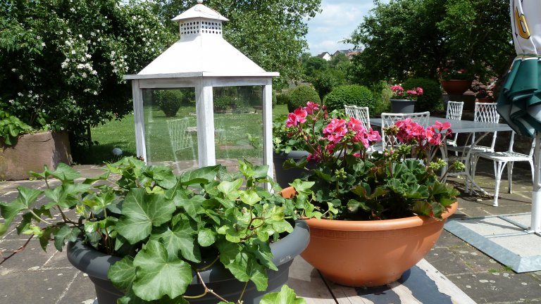 Tuin - Hotel Zum Alten Brauhaus