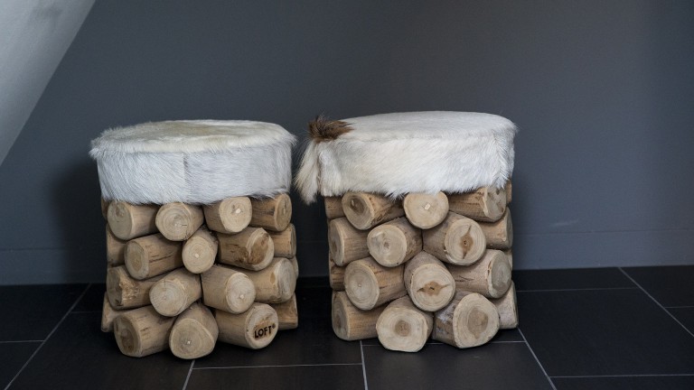 Sfeer - Bed and Breakfast De Roos
