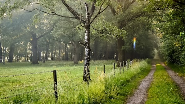 Umgebung Landhaus Hotel und Bistro Herikerberg - Fahrrad oder Auto Ferien Overijssel (Twente-Salland)