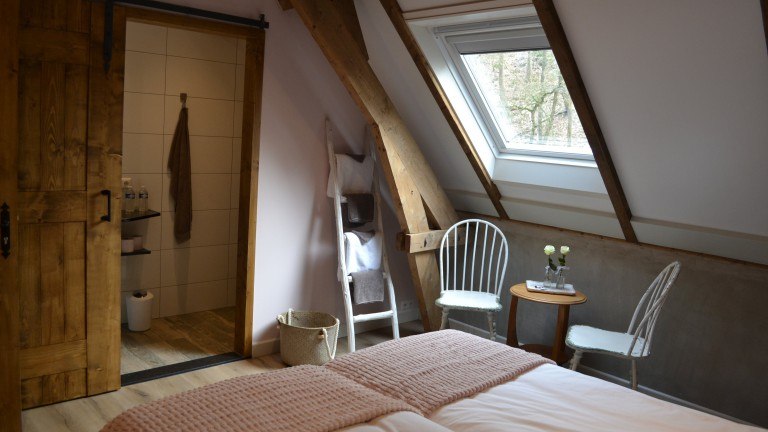 Standaardkamer - Bed and Breakfast Aan de Beek