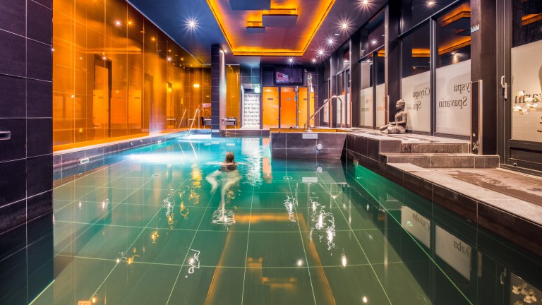 Zwembad - Restaurant Hotel Spa Savarin