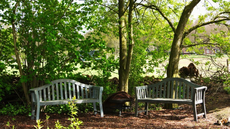 Tuin - Bed and Breakfast Drentse Krent