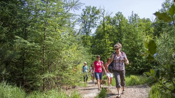 Omgeving - Landgoed t Borghuis