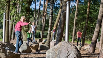 Wald - Landgoed t Borghuis spielen