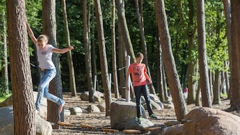 Wald - Landgoed t Borghuis spielen