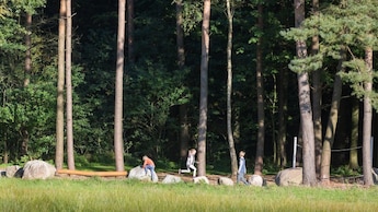 Wald - Landgoed t Borghuis spielen