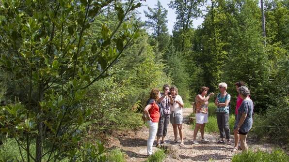 Omgeving - Landgoed t Borghuis