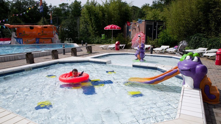 Pool - Vakantiepark de Bonte Vlucht