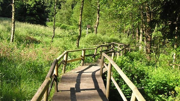 Umwelt - Hotel Altastenberg