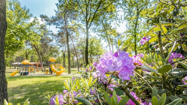 Speeltuin - Vakantiepark de Bergen