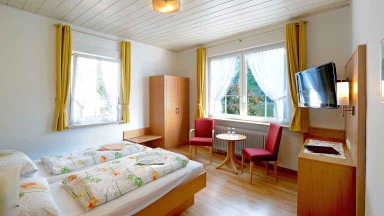 Hotelkamer - Hotel zum Moselstrand